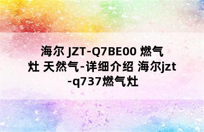 Haier/海尔 JZT-Q7BE00 燃气灶 天然气-详细介绍 海尔jzt-q737燃气灶